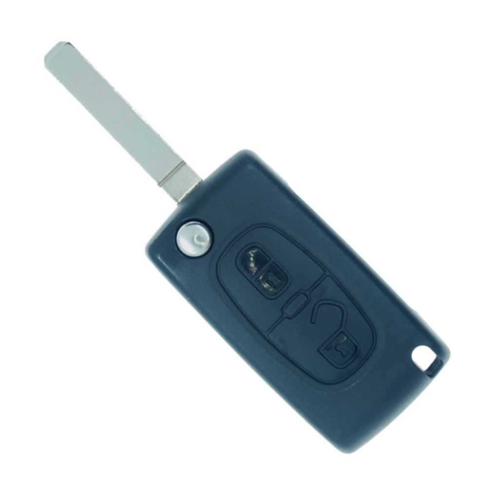 R-CIT3 – C2 / C3 CAN flick key – 2 button