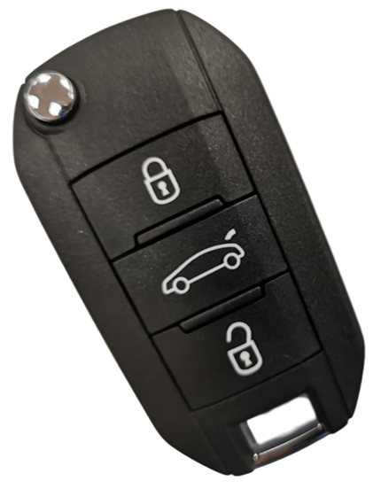 R-CIT39 – C4 Cactus MK2 2018 on 3 button flick key